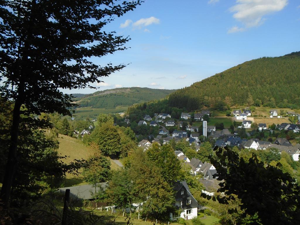 Apartment Nieder Winterberg Exteriör bild